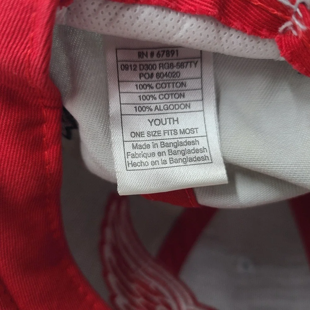 Youth Detroit Red Wings Hat Snapback Reebok Gray‎ Red NHL Flat Brim Casual Wear